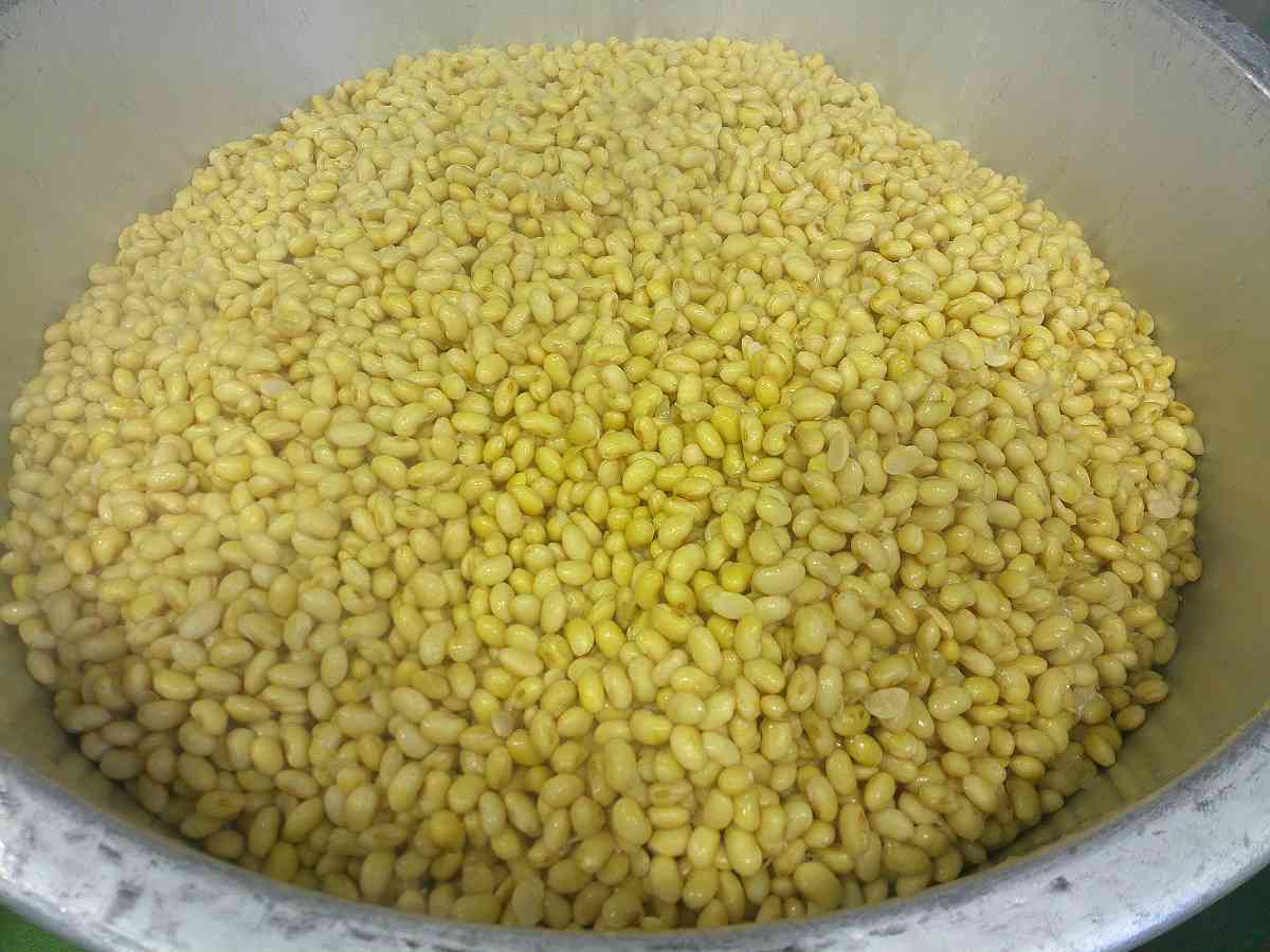 2.25津久井産大豆