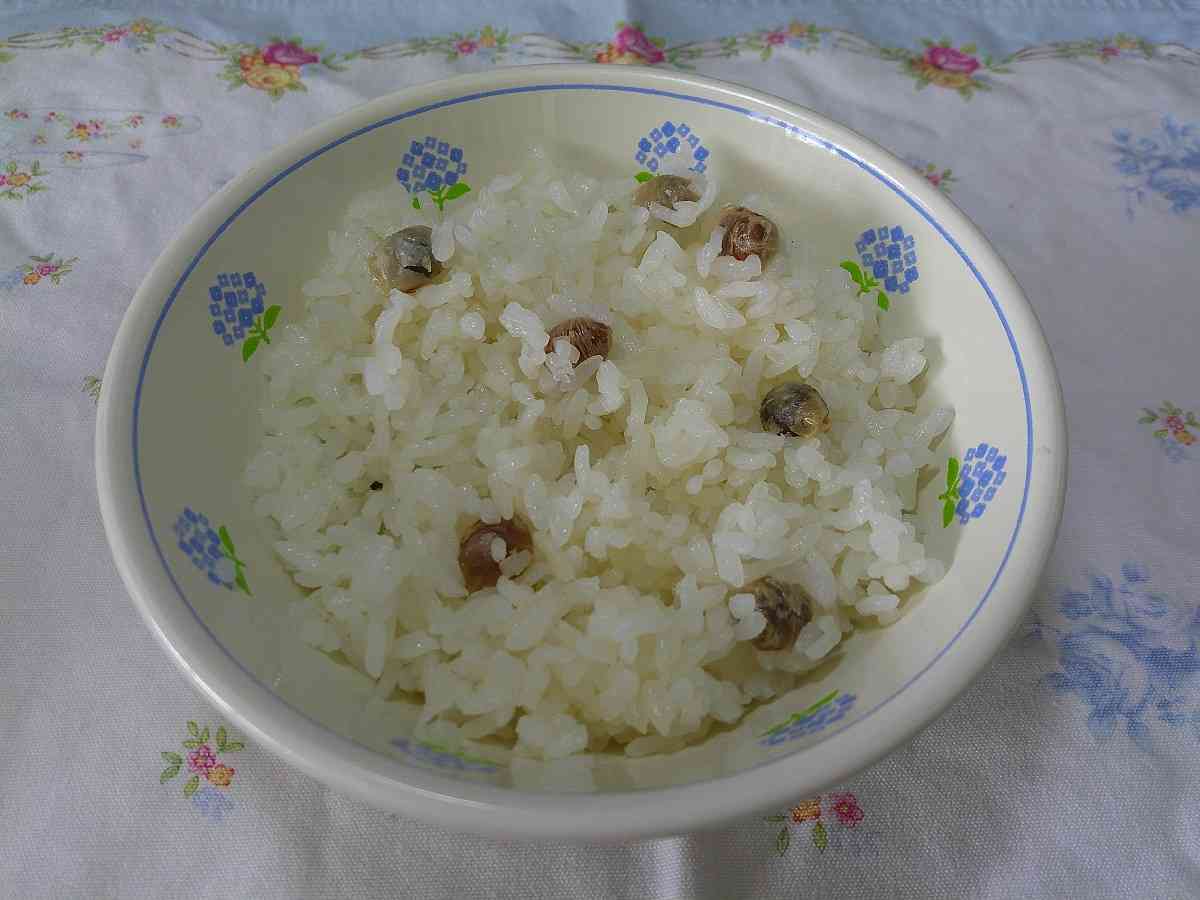 2.27いり豆ごはん