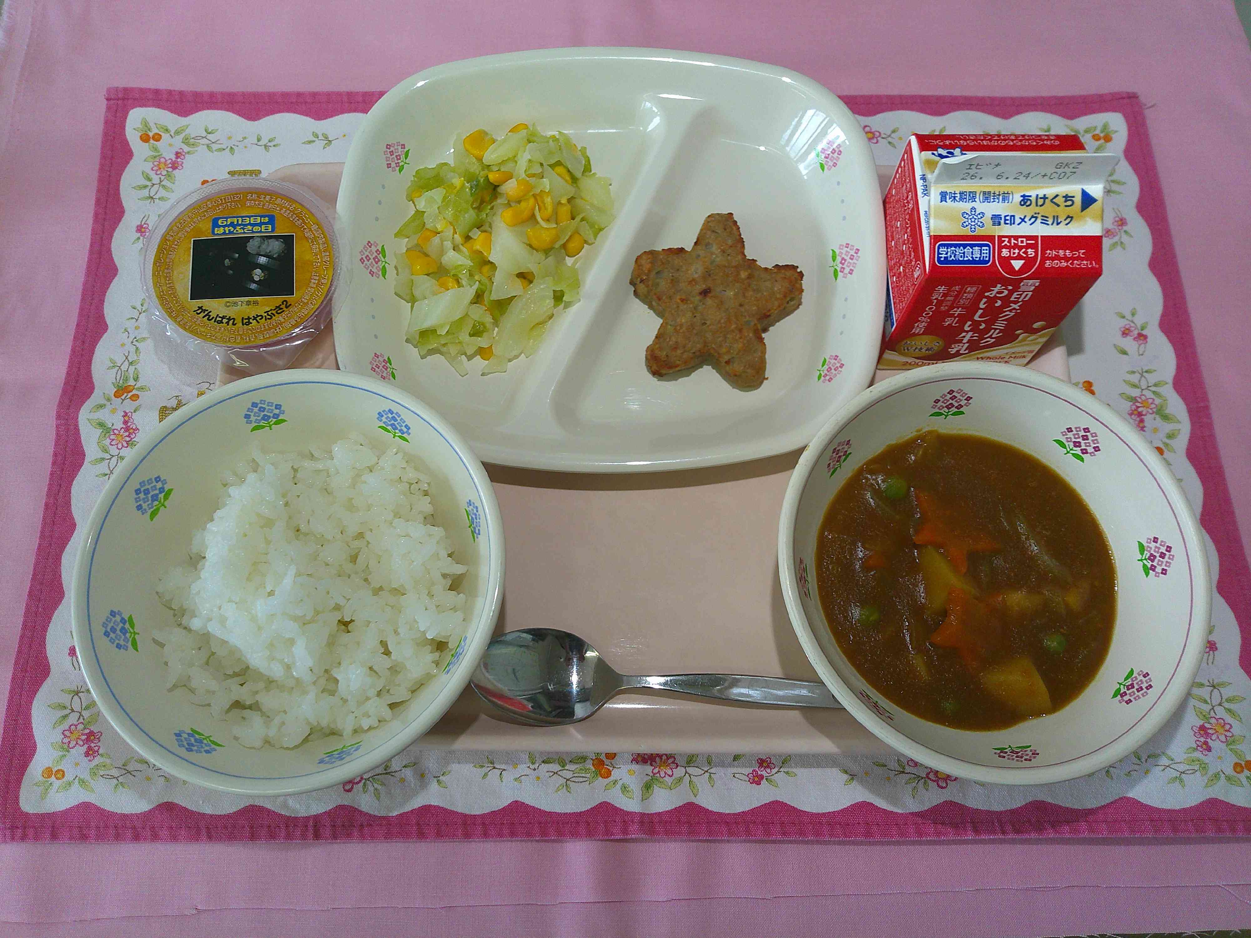 0611もりつけ写真（はやぶさ給食）